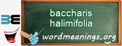 WordMeaning blackboard for baccharis halimifolia